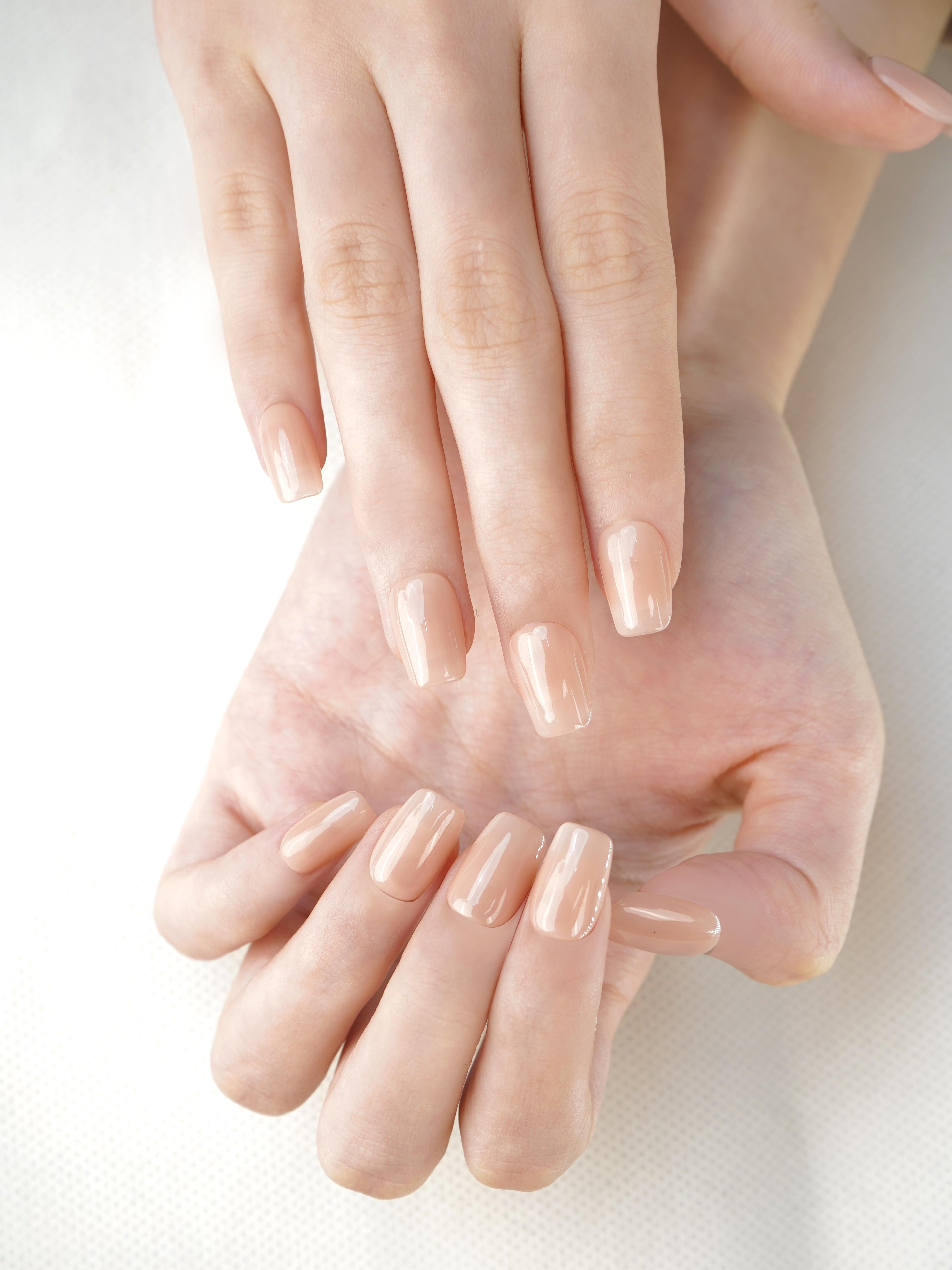 Nailumo·Timber Brown